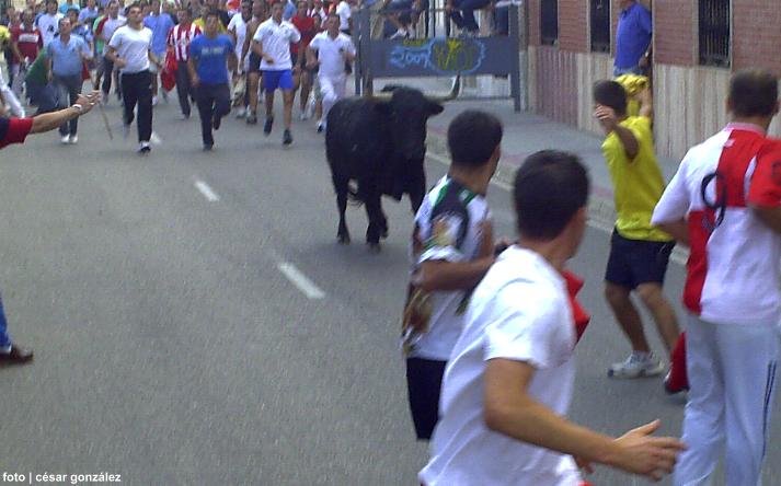foto de los novillos